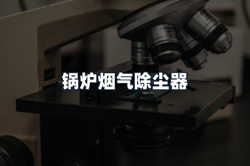 锅炉烟气除尘器